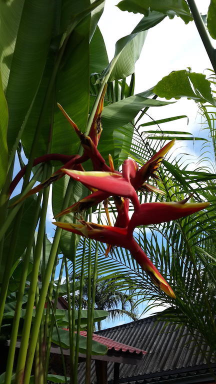 Les Fleurs House Bed and Breakfast Khao Lak Kamer foto