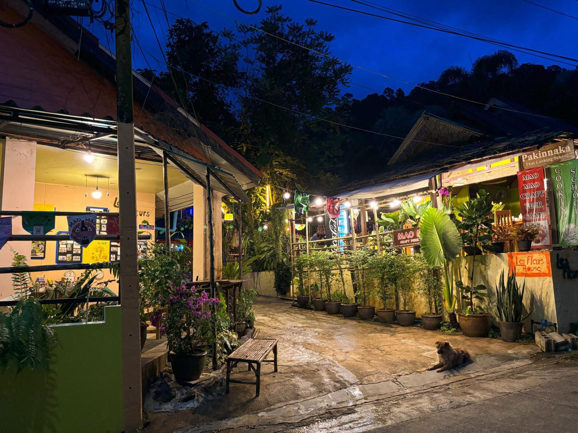 Les Fleurs House Bed and Breakfast Khao Lak Buitenkant foto